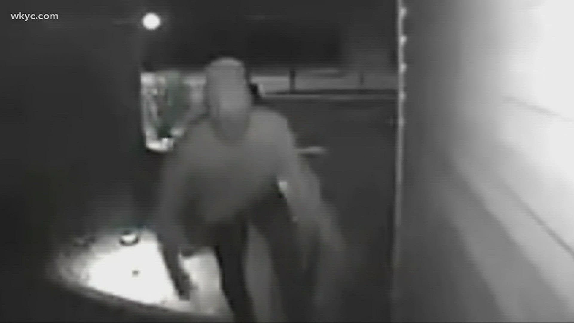 Surveillance video from Geauga county shows two men allegedly stealing holiday decorations
