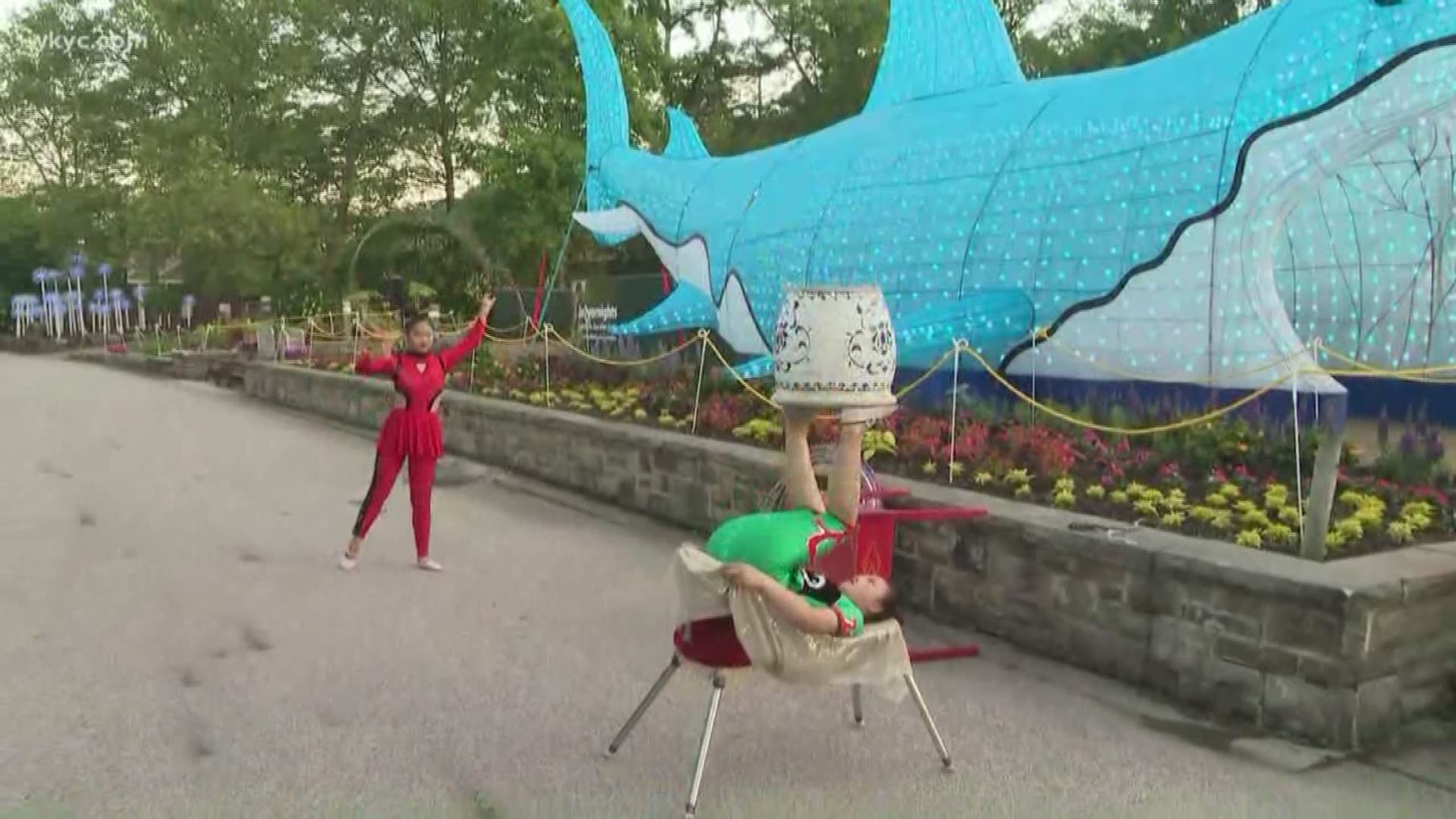 Don't try this at home: Austin Love checked out the Chinese acrobats at the Cleveland Zoo's Asian Lantern Festival, then tested some of his own skills.