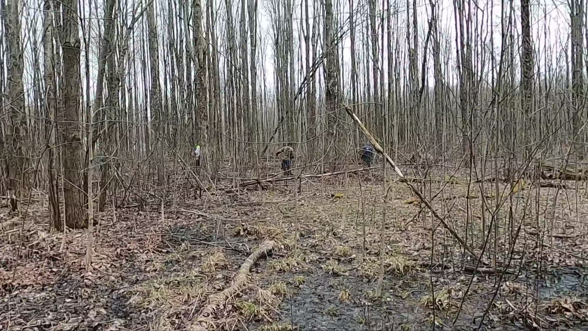 The discovery of Susan Taylor's body came amid a morning search that featured community members volunteering.