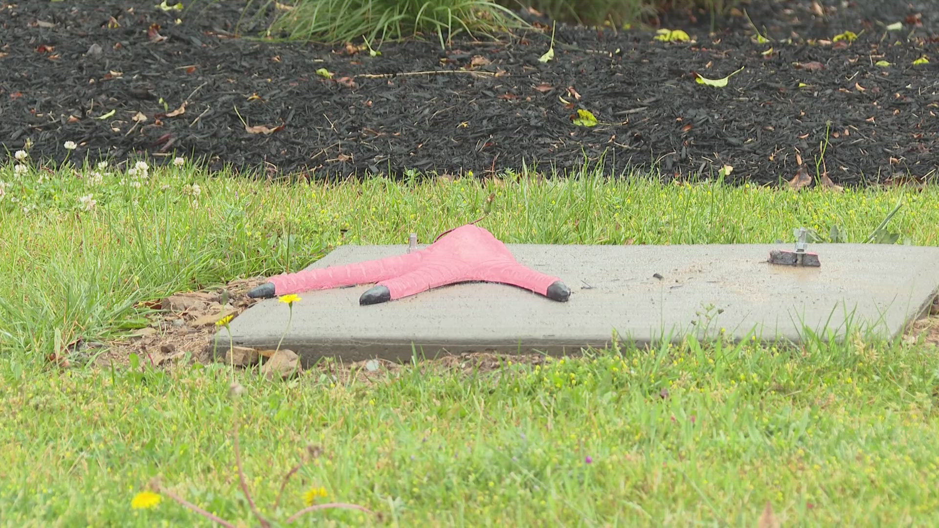 Donald Deka and Jack Klamert are facing felony theft charges for allegedly stealing the pink flamingo statue located at the corner of Broadview Road and Snow Road.