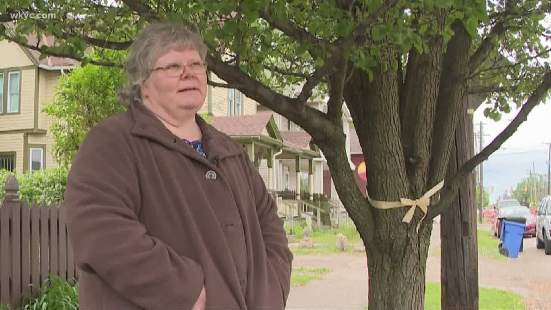 A Tremont woman says she will tie herself to a tree in front of her house before she lets the city cut it down. Tammy Layton, who lives on Clark Avenue, says she planted the tree nearly 20 years ago in honor of her parents.