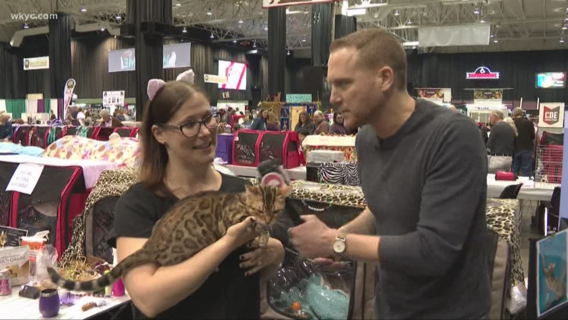 Mike Polk visits the International Cat Show