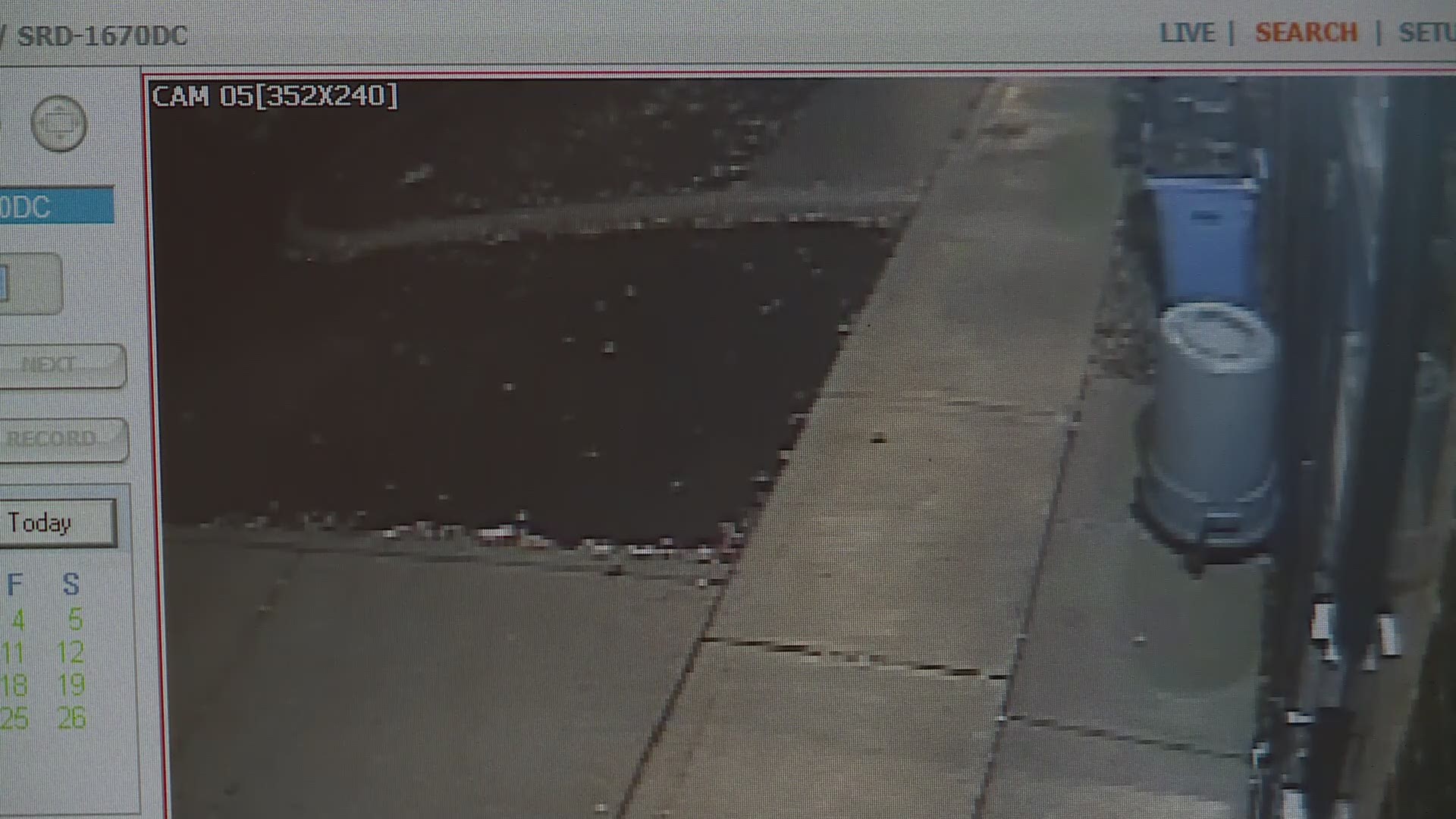Video shared with 3News by VCA Great Lakes Veterinary Specialists shows cats being left by the trash. Officials ask to please not leave cats outside the hospital.