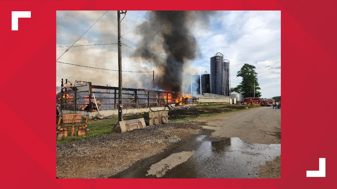 Columbiana County barn fire leaves 60 calves dead - Vimarsana News