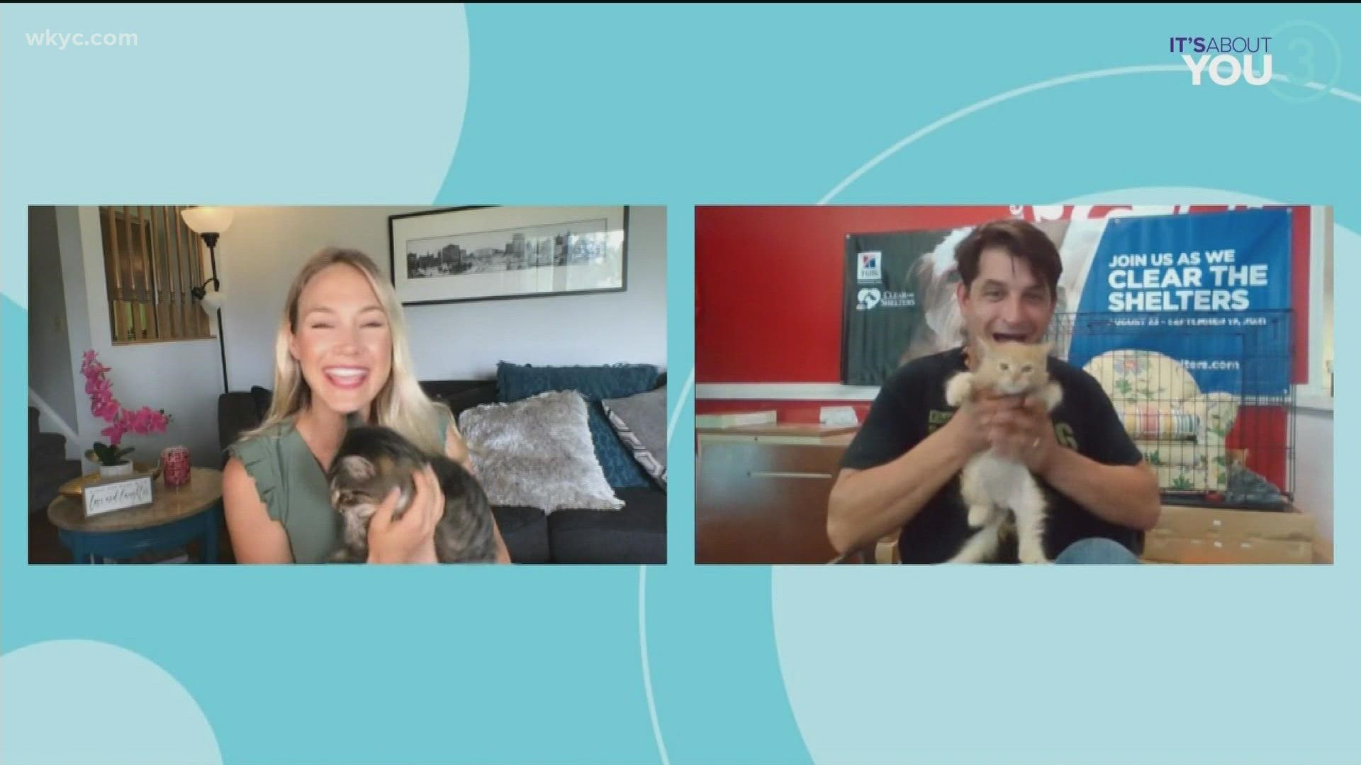 Our pets are our families! Help us Clear the Shelters this month! Alexa is talking with Greg Wiley from Friendship APL about adopting a furever friend!