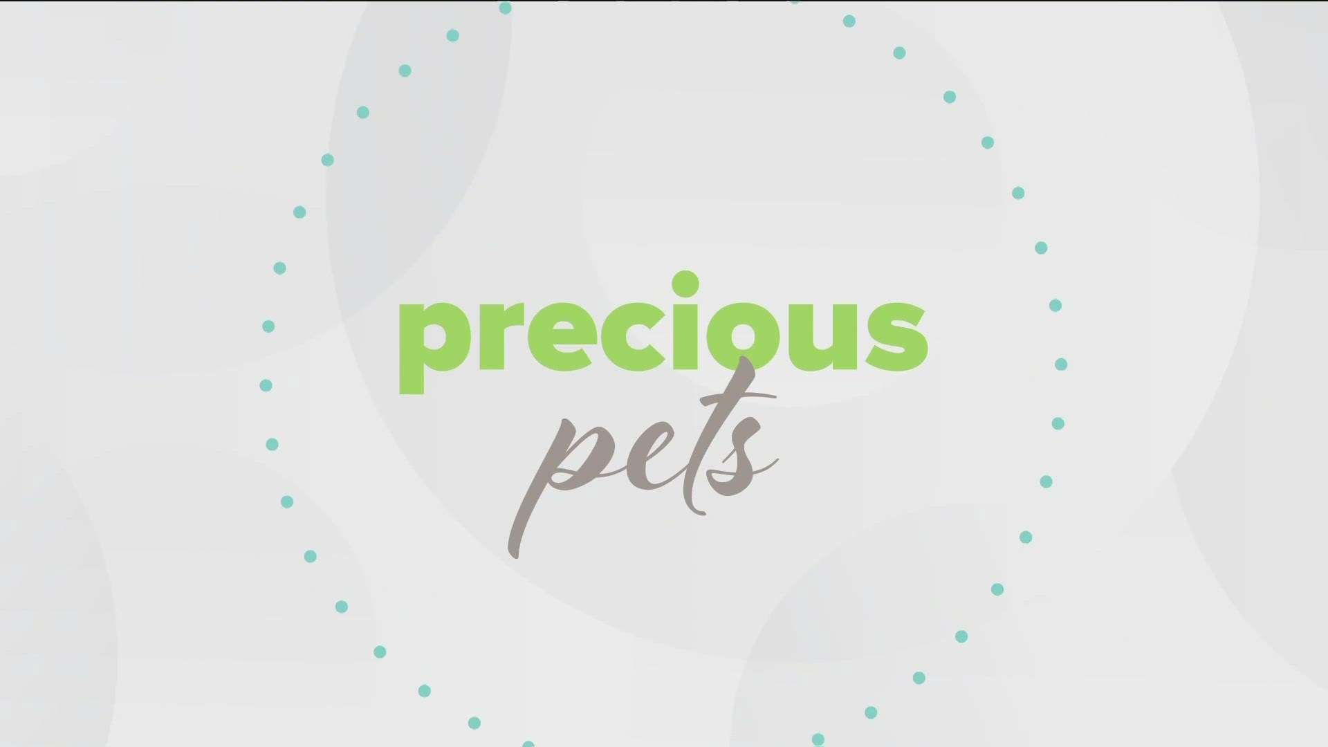 Katherine talks with Lisa Mauriello about some things you can get to help pamper your furry friends! Sponsored by: PR Media