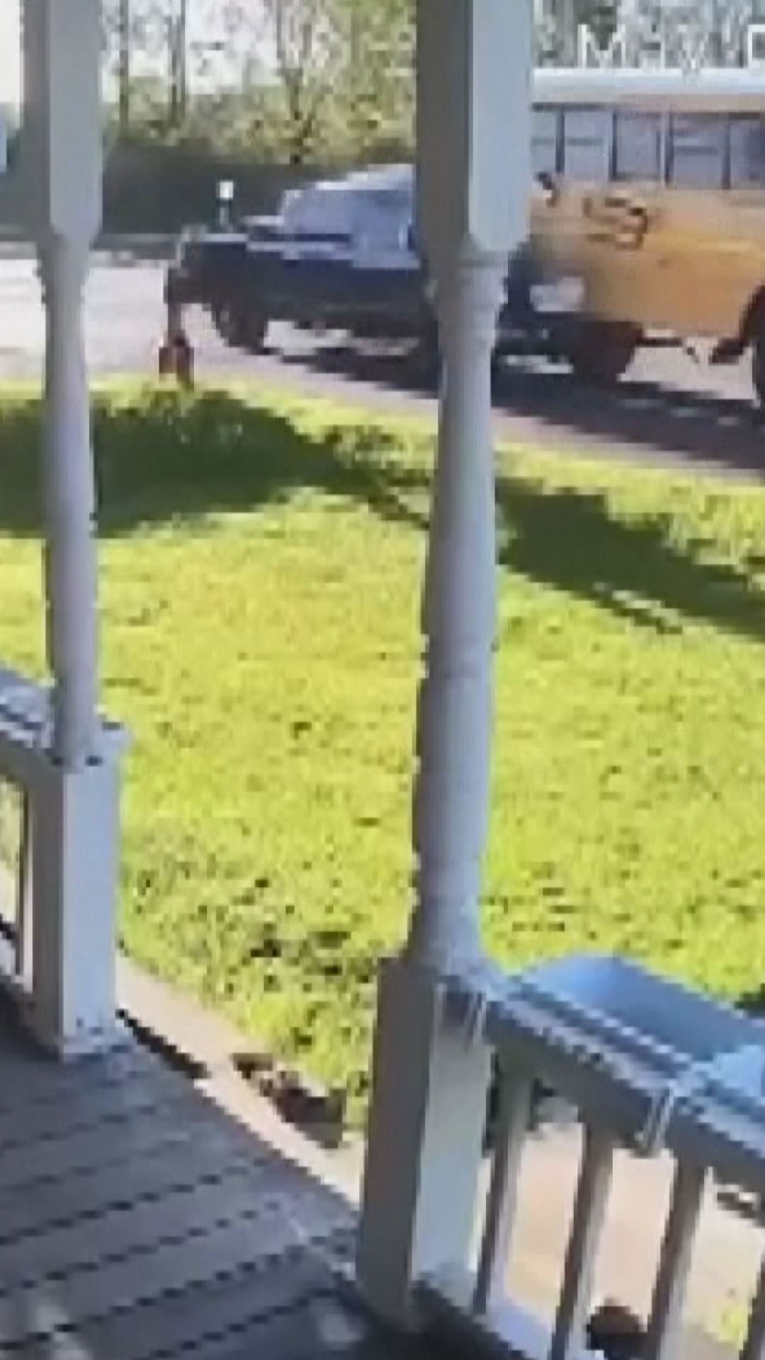 Distracted driver crashes into the back of a stopped school bus in New ...