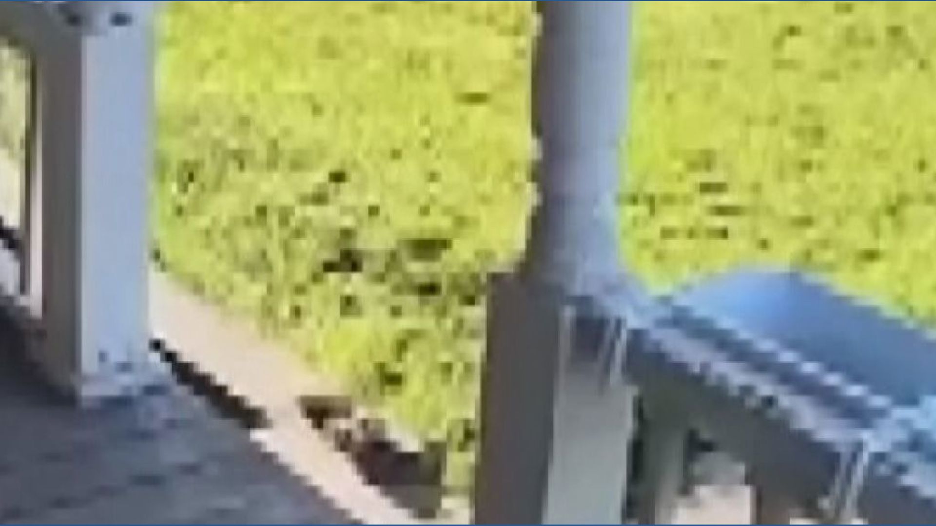 Distracted driver crashes into the back of a stopped school bus in New ...