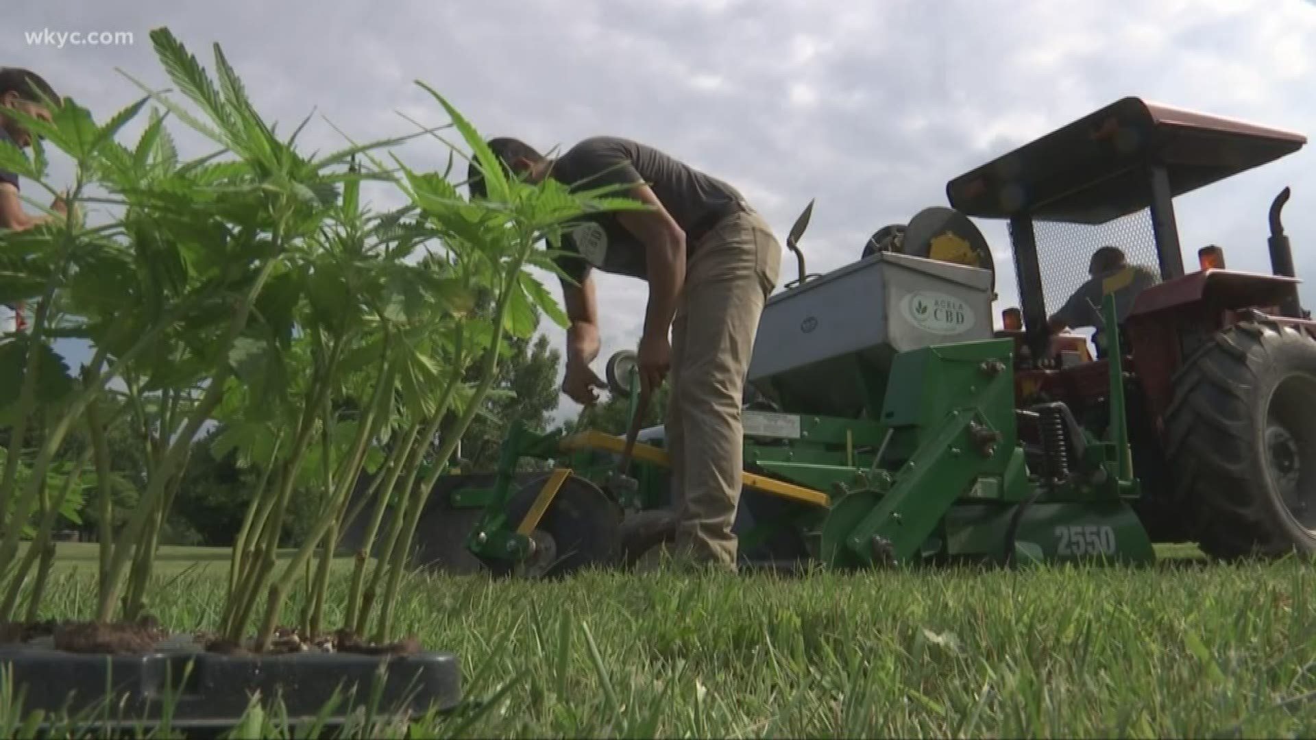 The Ohio Department of Agriculture submitted its plan to the USDA on December 13. To produce hemp, growers must be licensed or authorized under the state's program.