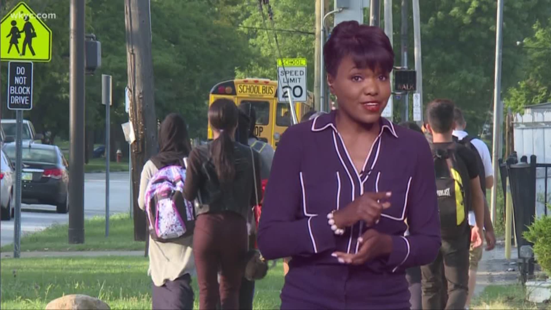 Understanding Ohio law when it comes to school zones is the best way to avoid getting a ticket this school year. Our 'Road Warrior' Danielle Wiggins has an outline of the Ohio traffic laws you may not have known.