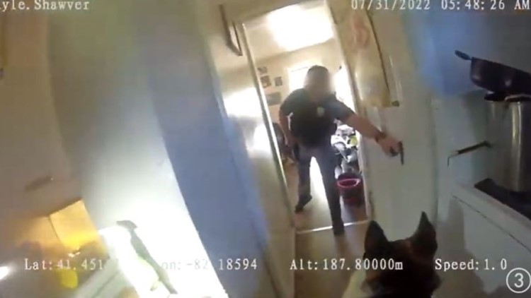 Lorain police bodycam video shows suspect stabbing K-9, then fatally shot by officer