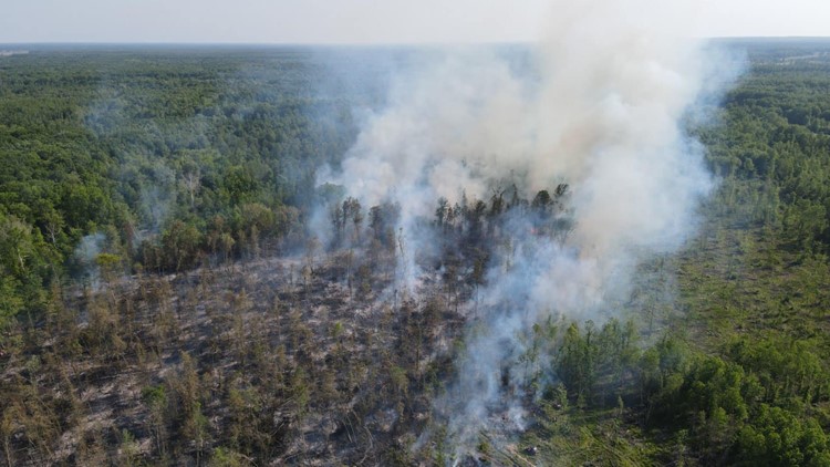 Multiple departments responding to large brush fire in Ashtabula County; roughly 50 acres burned so far