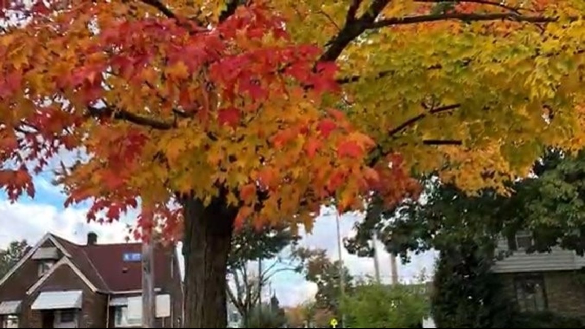 Check out beautiful fall foliage in Northeast Ohio | wkyc.com