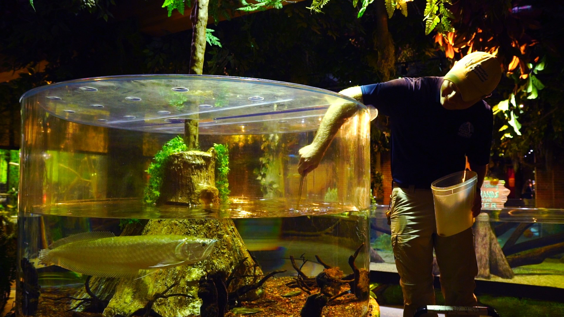 Hardworking Cleveland is a WKYC digital web-series about Clevelanders hard at work. This story is  with Aquarist Brenton Maille at the Cleveland Aquarium. He shows us what its like inside the tank.