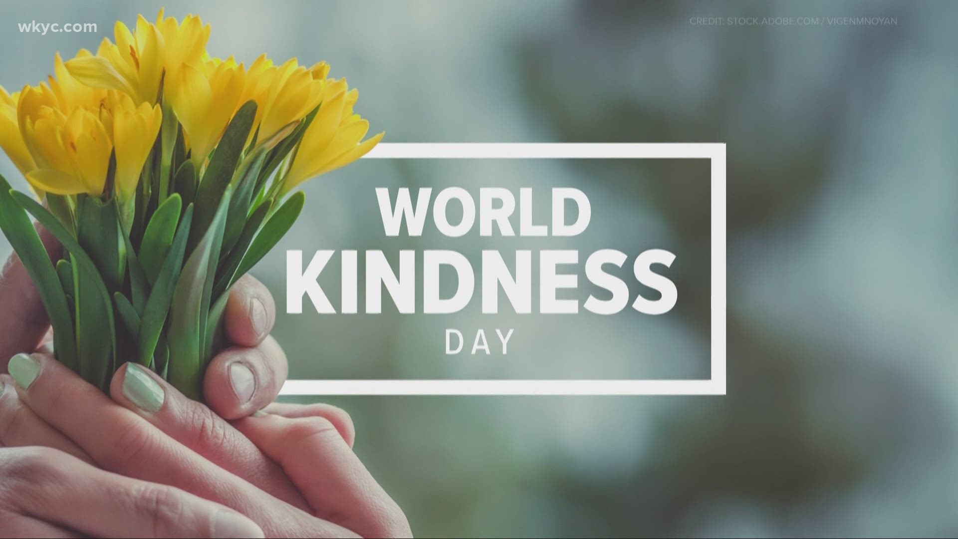 "Let's say we focus on random acts of kindness. We can actually save the world, bit by bit, every day."