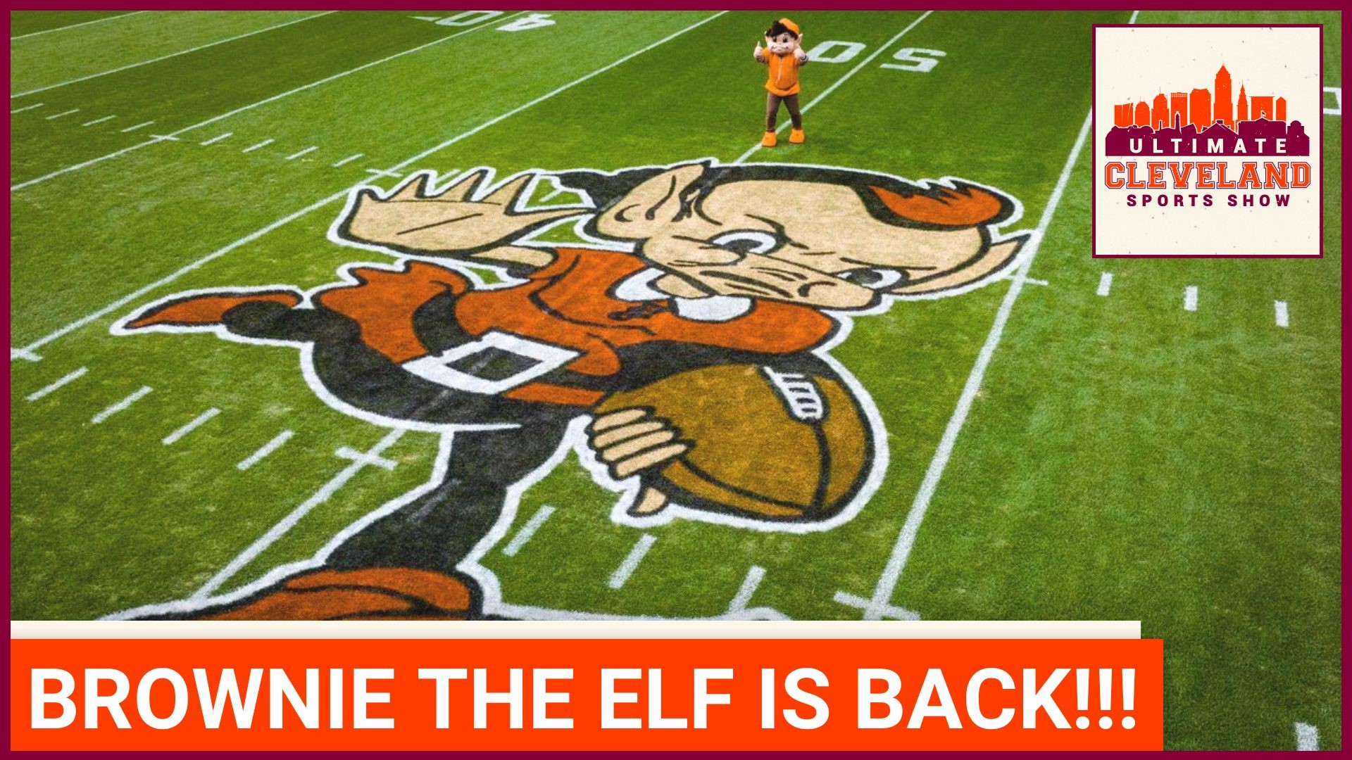 Brownie the Elf gets the Dub over the new Dawg logo