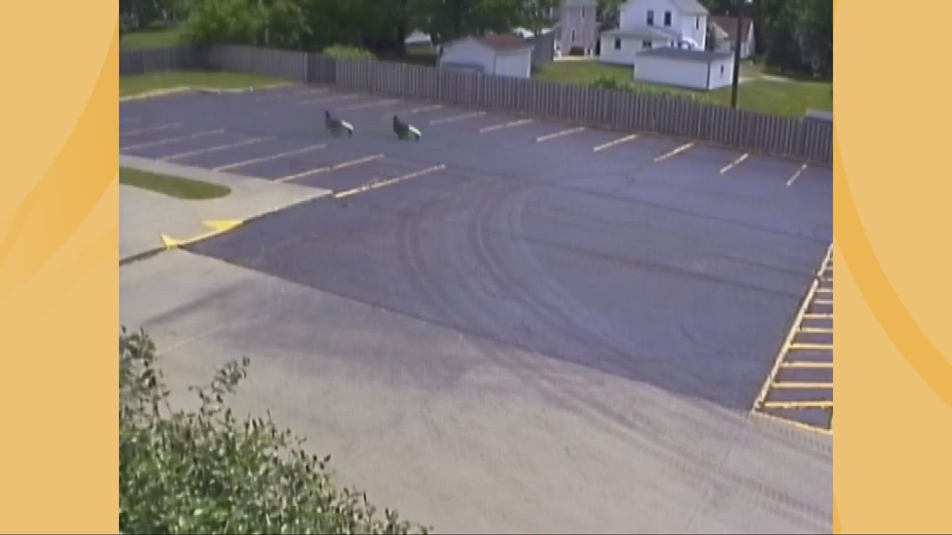 Four pedal cars were stolen on June 14 from the outdoor Safety Town space at Central Primary School on Washington Street.