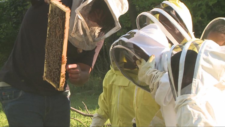 Kids learning the benefits of beekeeping in Cleveland's Mount Pleasant neighborhood