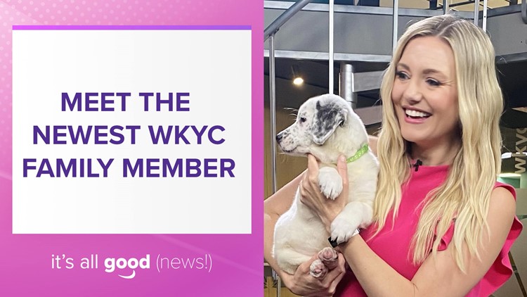 WKYC adds fury friend to our family
