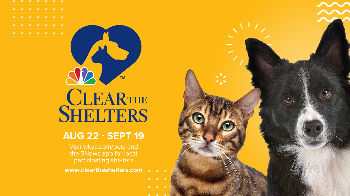 Clear the Shelters 2021 Help pets find their Furever Homes!