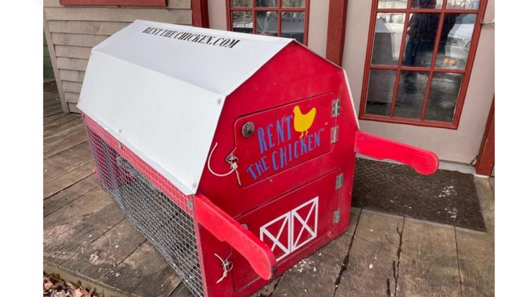 'Rent The Chicken': Lodi farm's service growing in Northeast Ohio