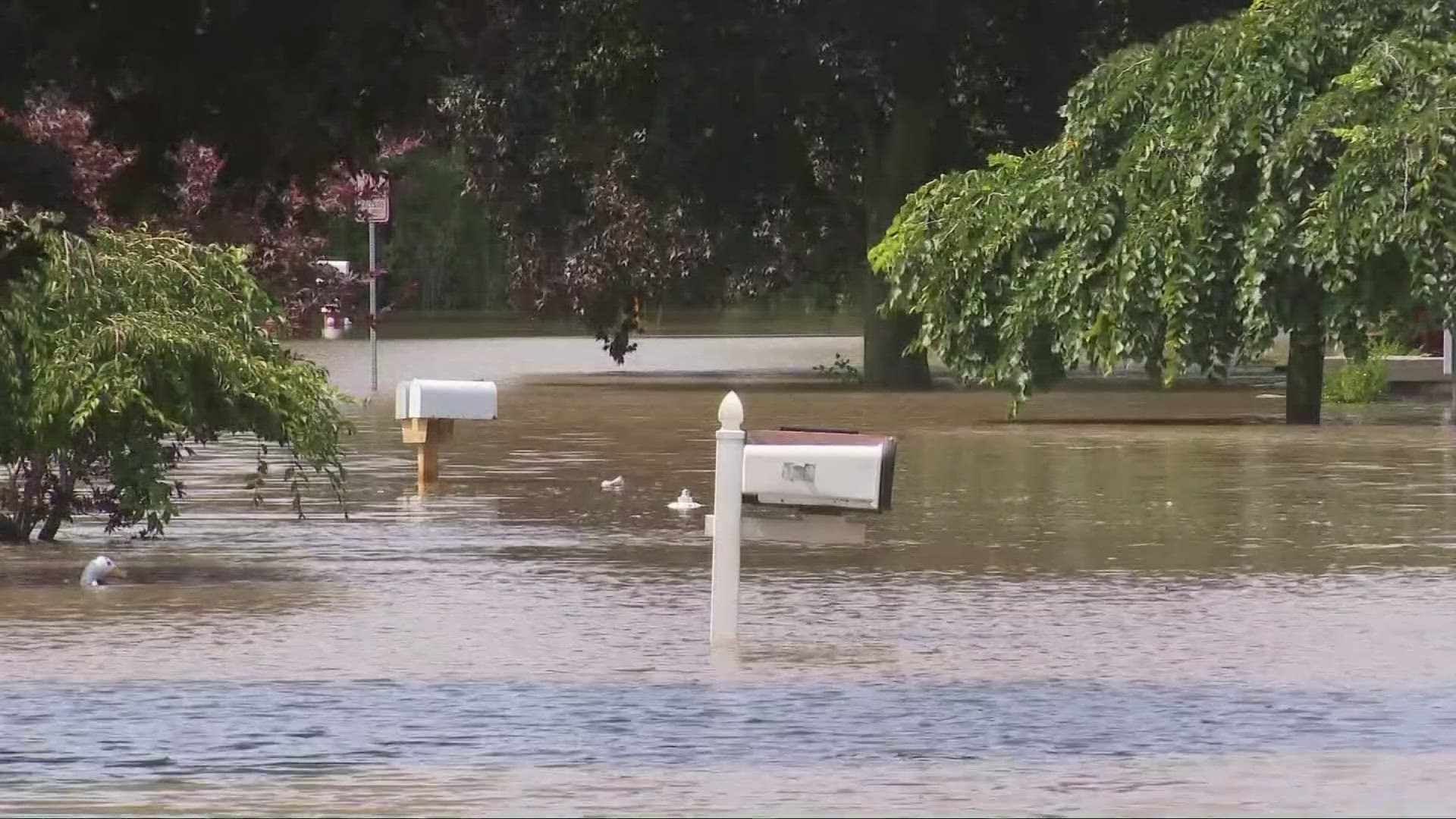 Across Northeast Ohio, residents are dealing with a soggy, flooded mess as torrential rains pound the region.