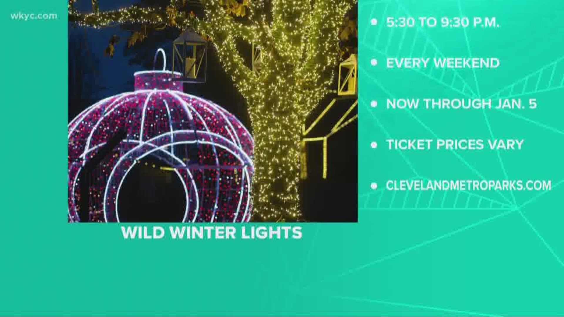 Wild Winter Lights Still Underway at Cleveland Metroparks Zoo