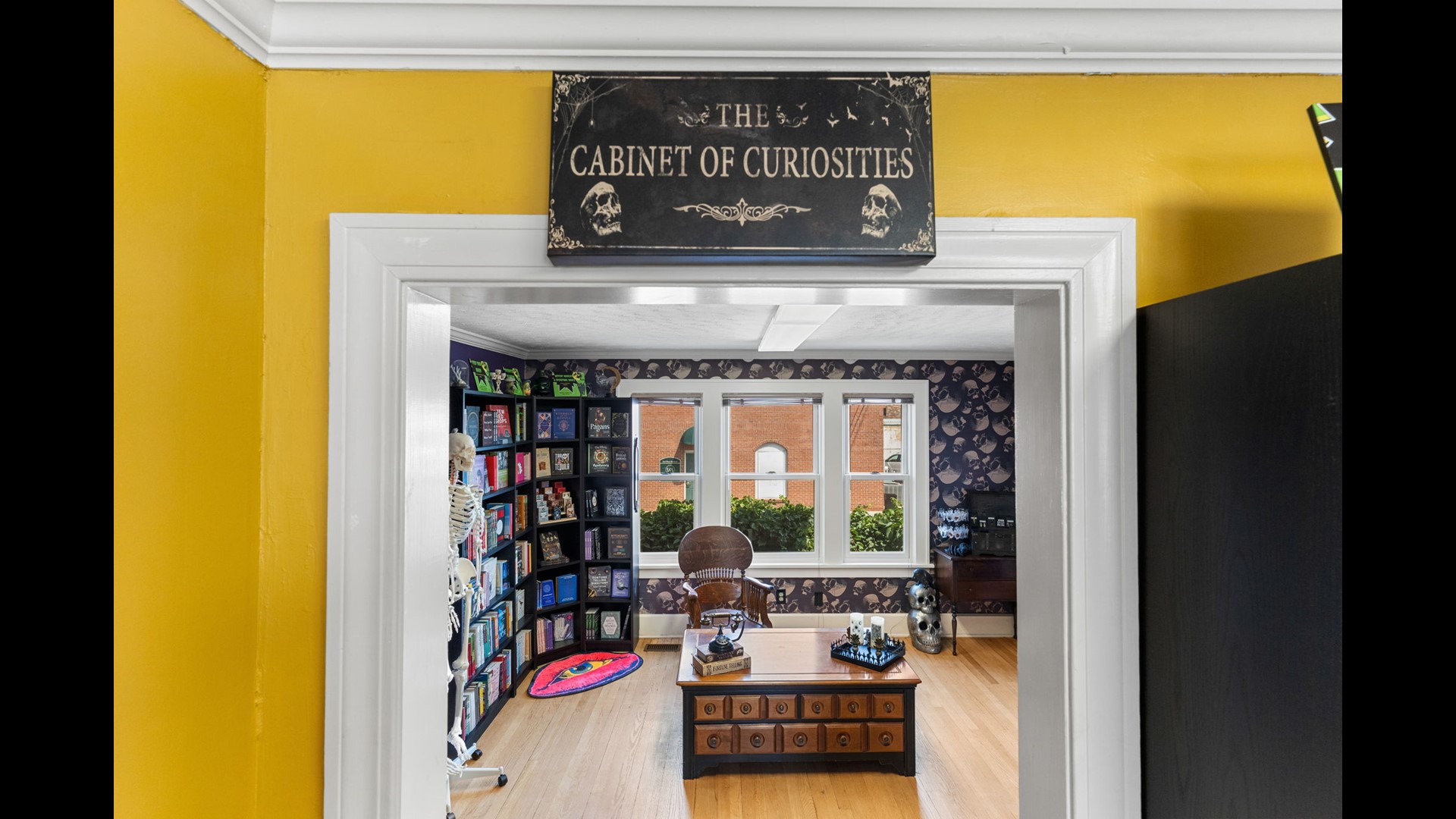 Black Cat Books & Oddities to open its doors in Medina | wkyc.com