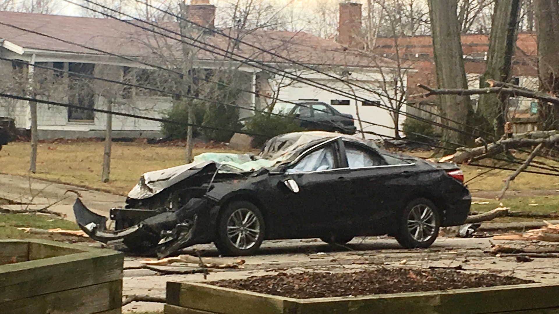 Tree falls on woman's car amid high winds in Westlake | wkyc.com