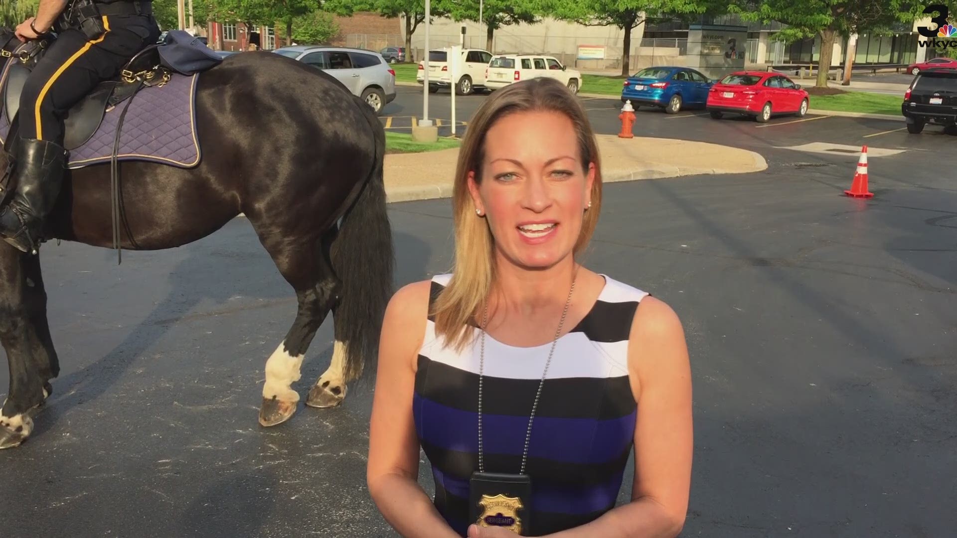 Horse in viral Cupid Shuffle dancing video stops by WKYC
