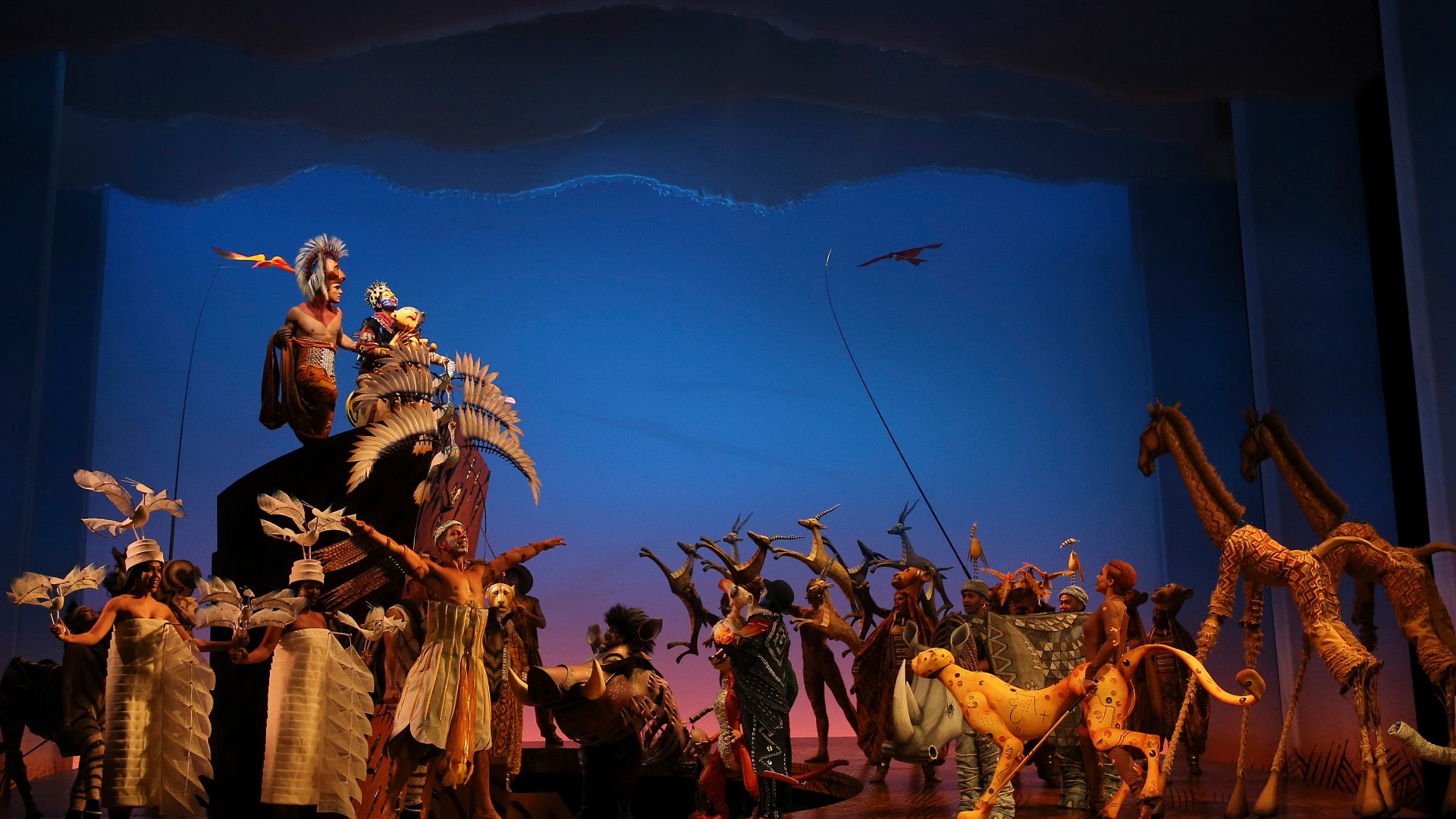 Sensoryfriendly version of Lion King musical coming to Playhouse