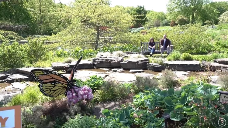 Mike Polk Jr. checks out Holden Arboretum's 'Nature Connects' exhibit in Kirtland