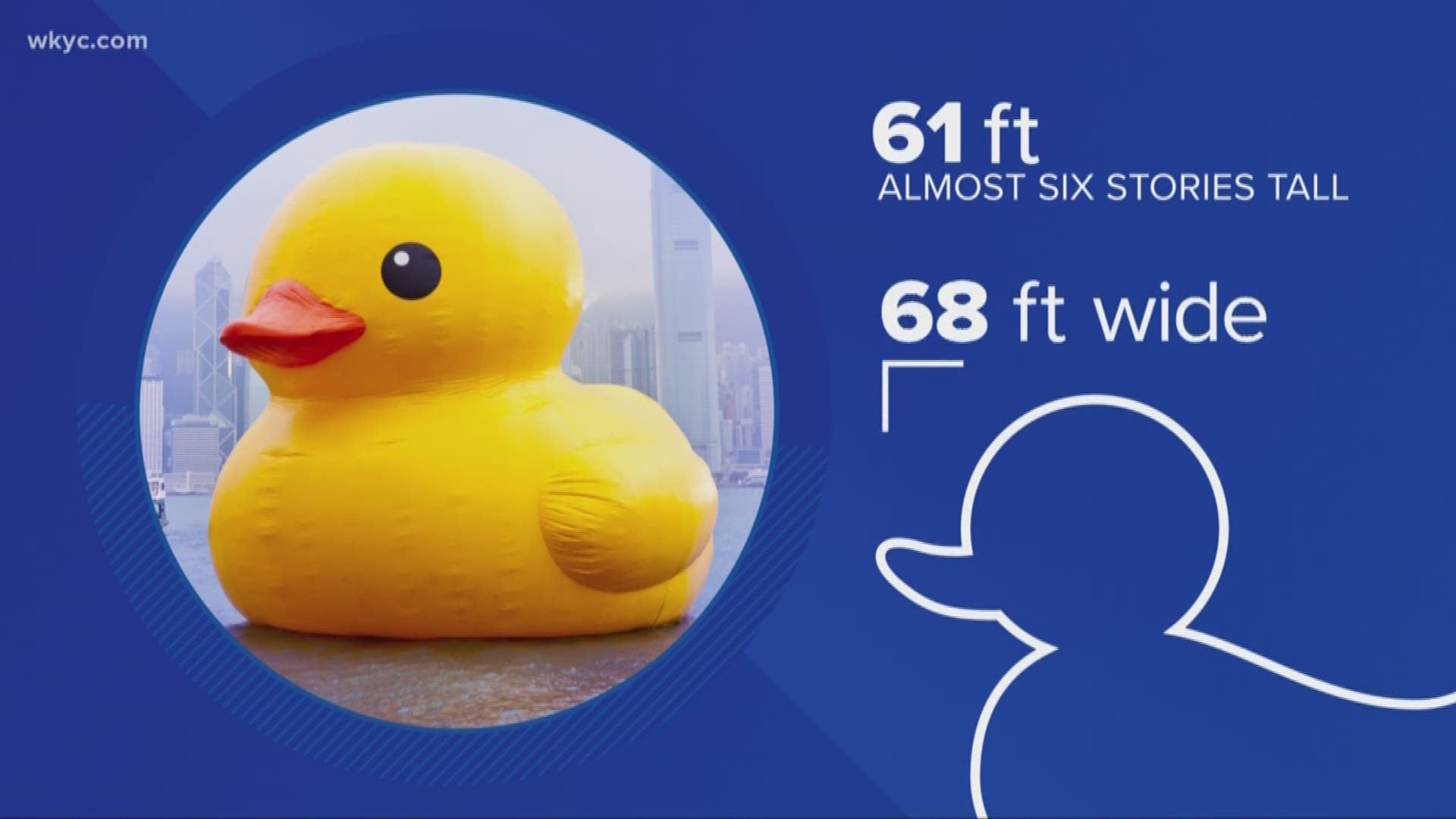 July 12, 2018: At 61 feet tall, the rubber duck weighs 22,000 pounds once it's inflated.