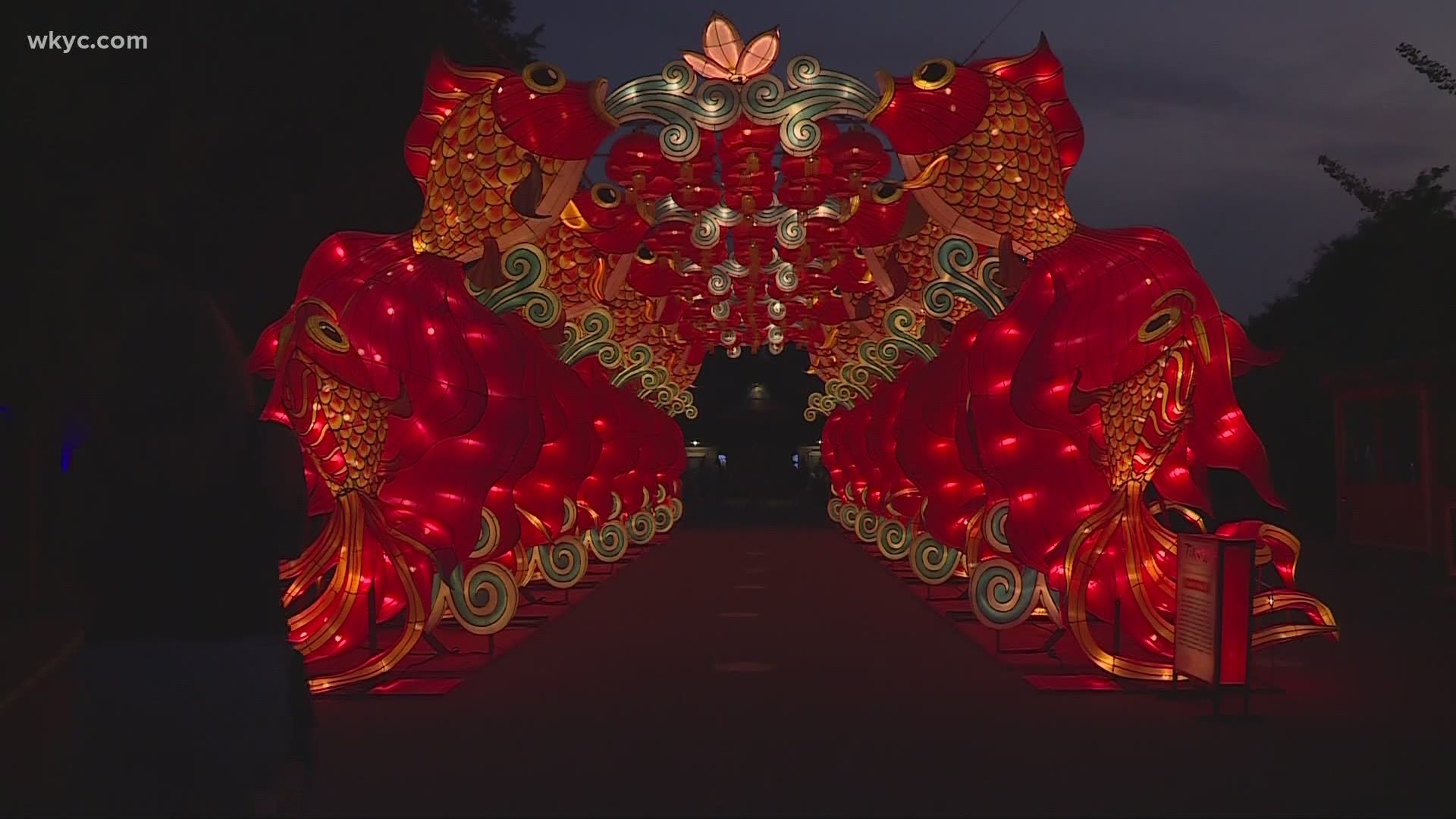 It's an explosion of bright colors and culture. 
The Asian Lantern Festival is lighting up the Cleveland Metroparks zoo. Laura Caso has the details.