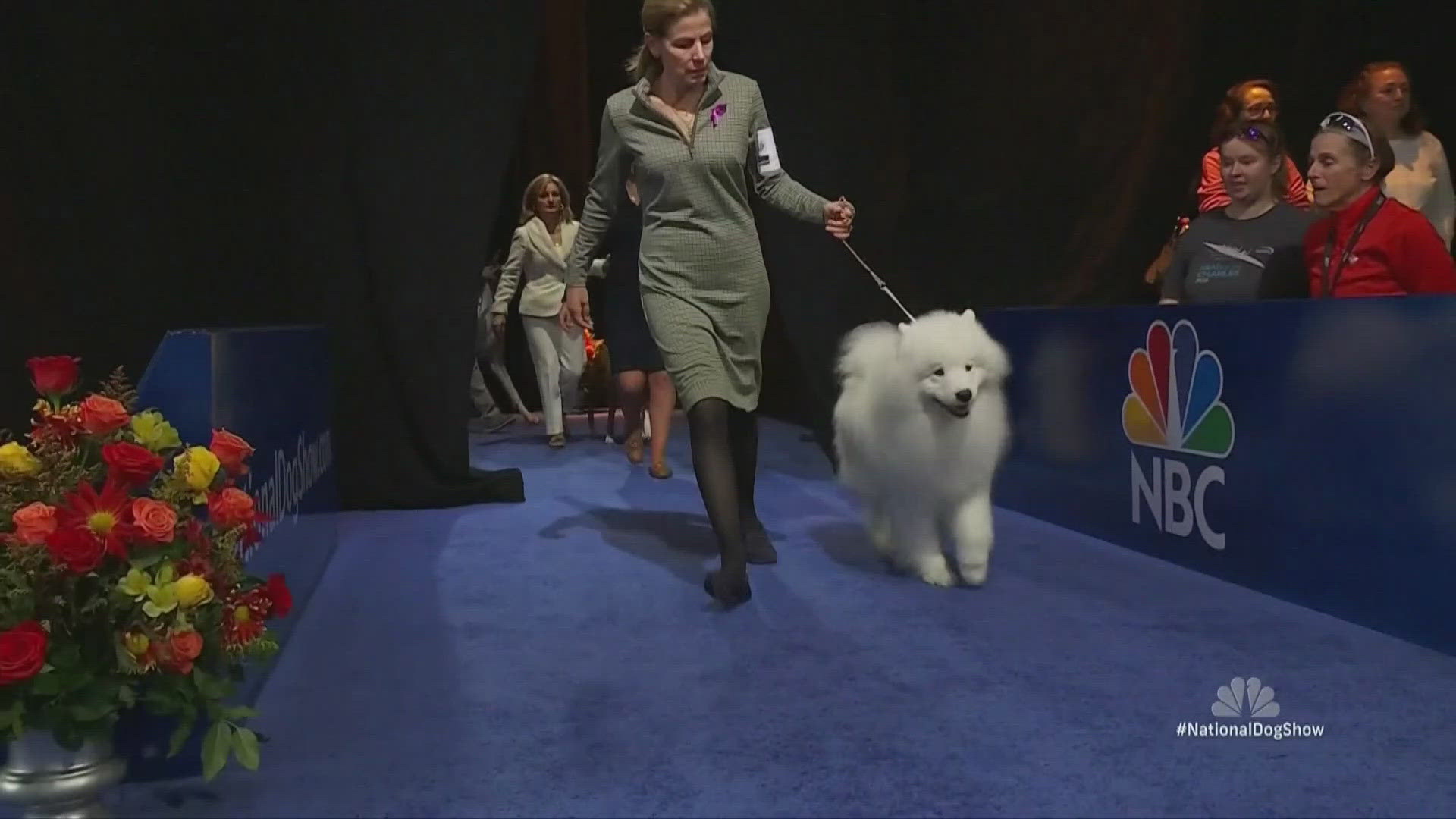 The National Dog Show has aired since 2002, but its origins date back to 1879, w hen it was first known as The Kennel Club of Philadelphia Dog Show.