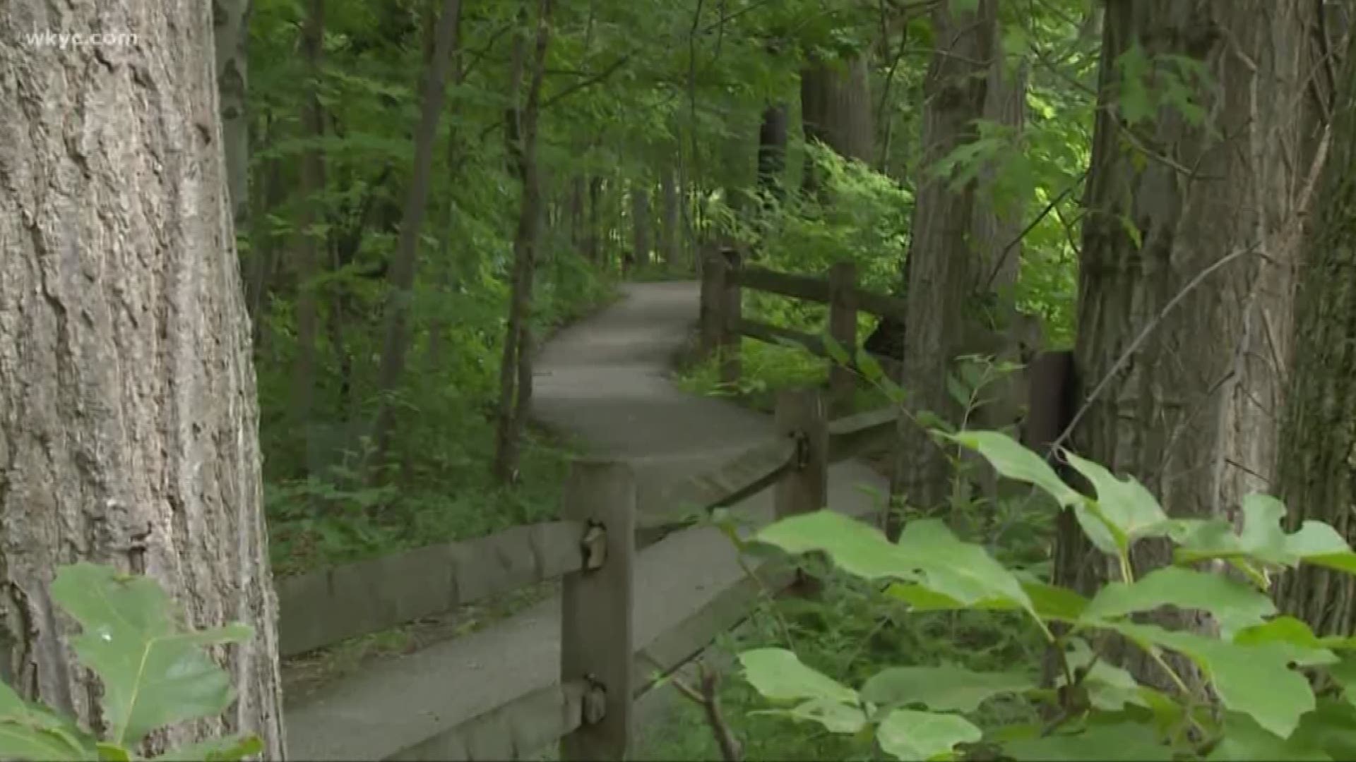 July 16, 2018: WKYC's Alexa Lee gives us a peek at how your kids can enjoy the Rocky River Nature Center.