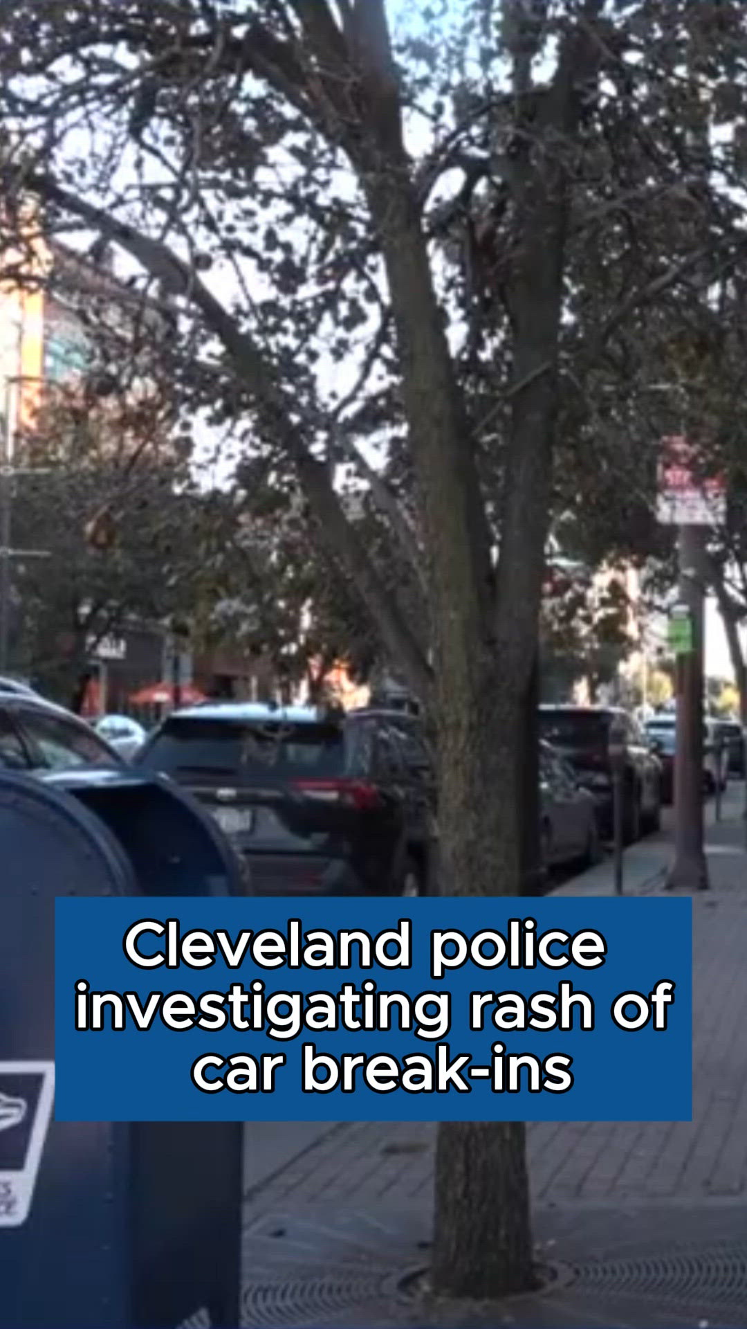 Cleveland police investigating rash of car break-ins in Ohio City and ...