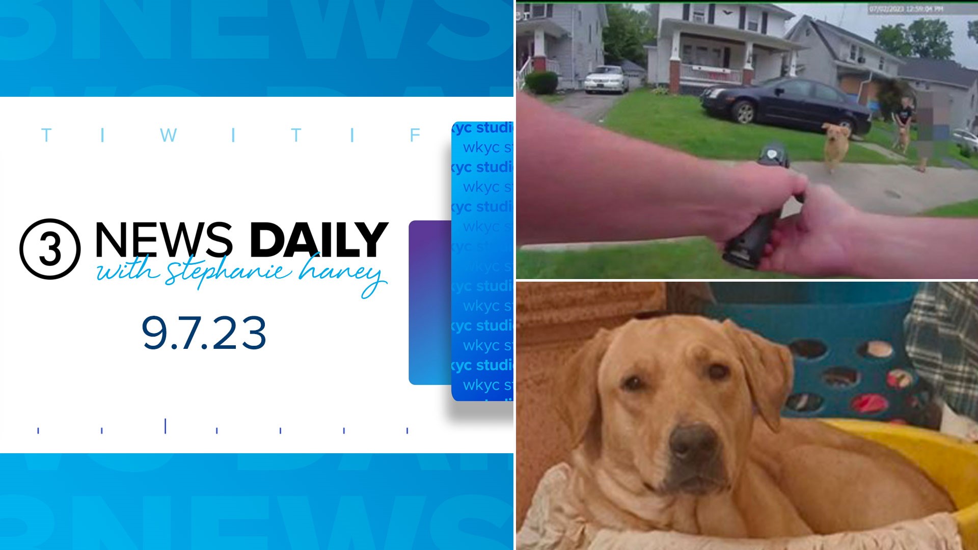 The results are in from the review of the Lorain police officer who shot and killed a Labrador named Dixie in June.