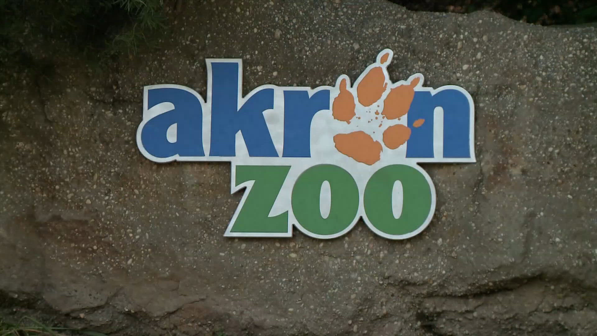 Akron Zoo to host adults-only 'Fright Night' Halloween party