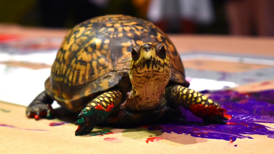 Tickets now on sale for Akron Zoo's annual wine tasting event