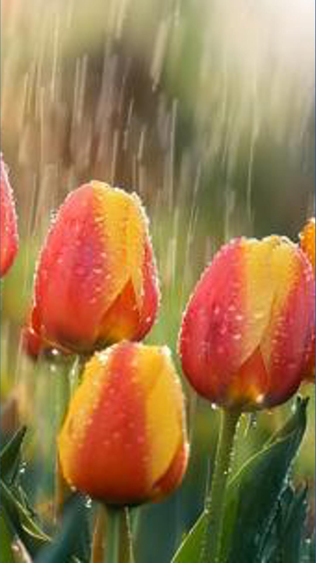 April showers and warm temperatures