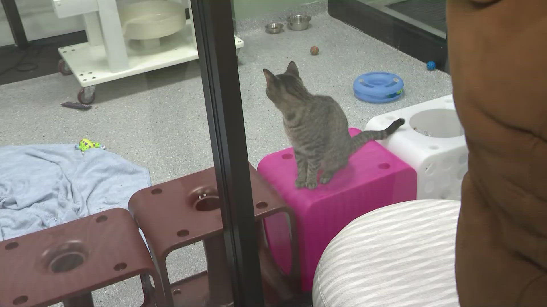 The Humane Society of Summit County has moved into a new building at 752 West Portage Trail in Akron.