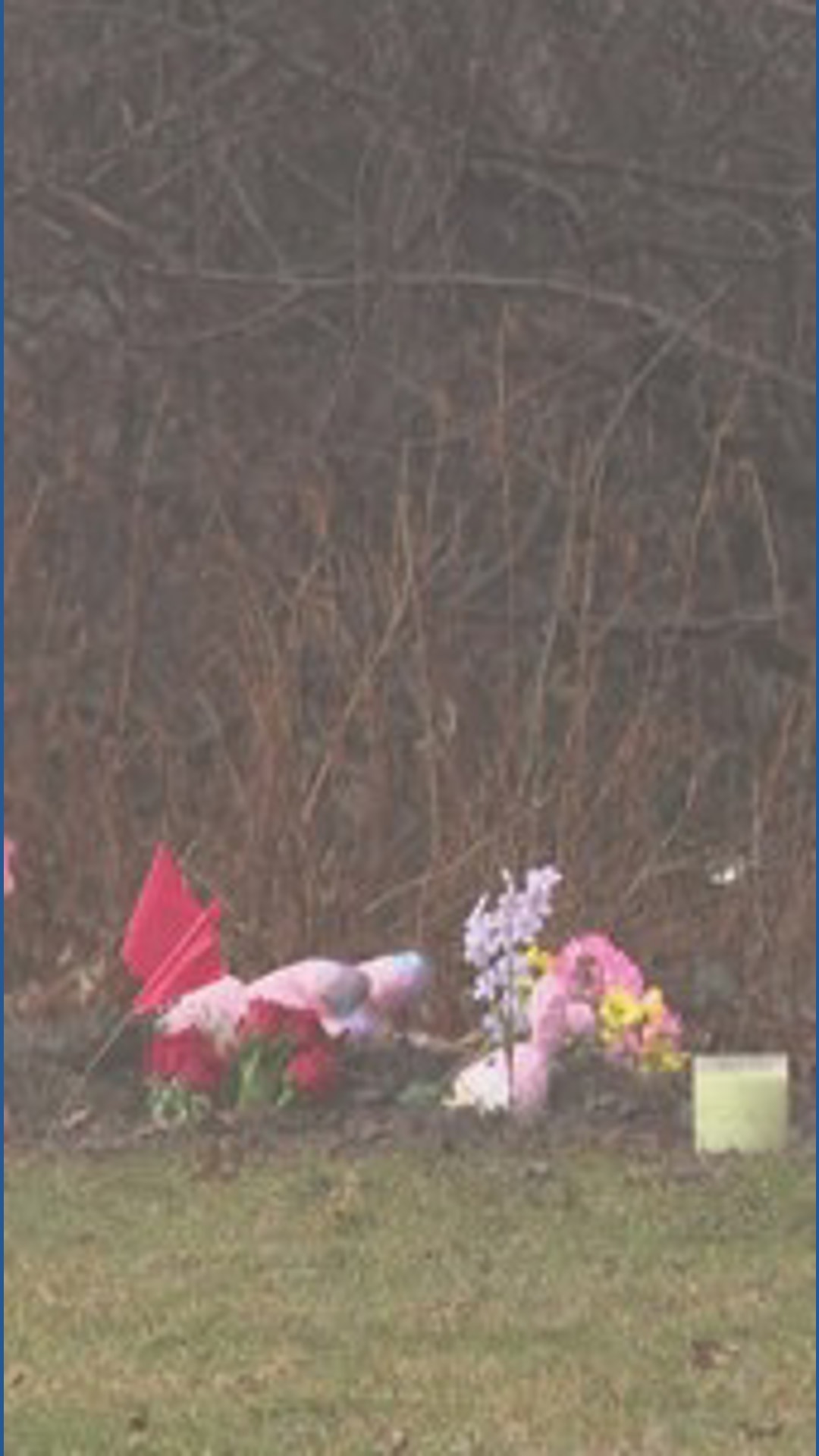 Mother charged with aggravated murder after bodies of 2 young girls ...