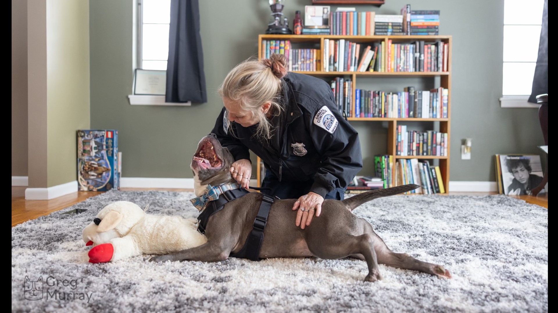 Abandoned dog finds forever home after 587 days in a shelter | wkyc.com