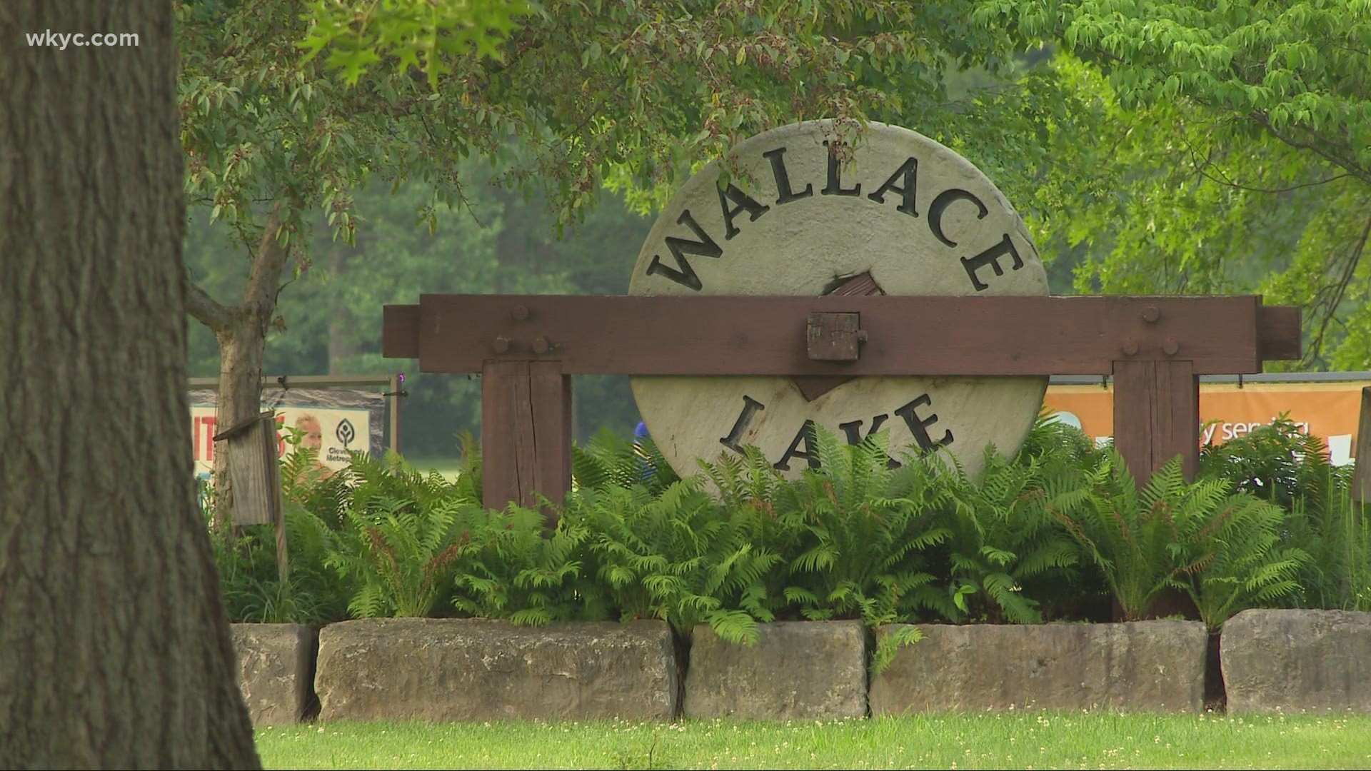 A father and his six kids were fishing at Wallace Lake, before deciding to swim in a non-designated area. Four of the kids swam to safety.