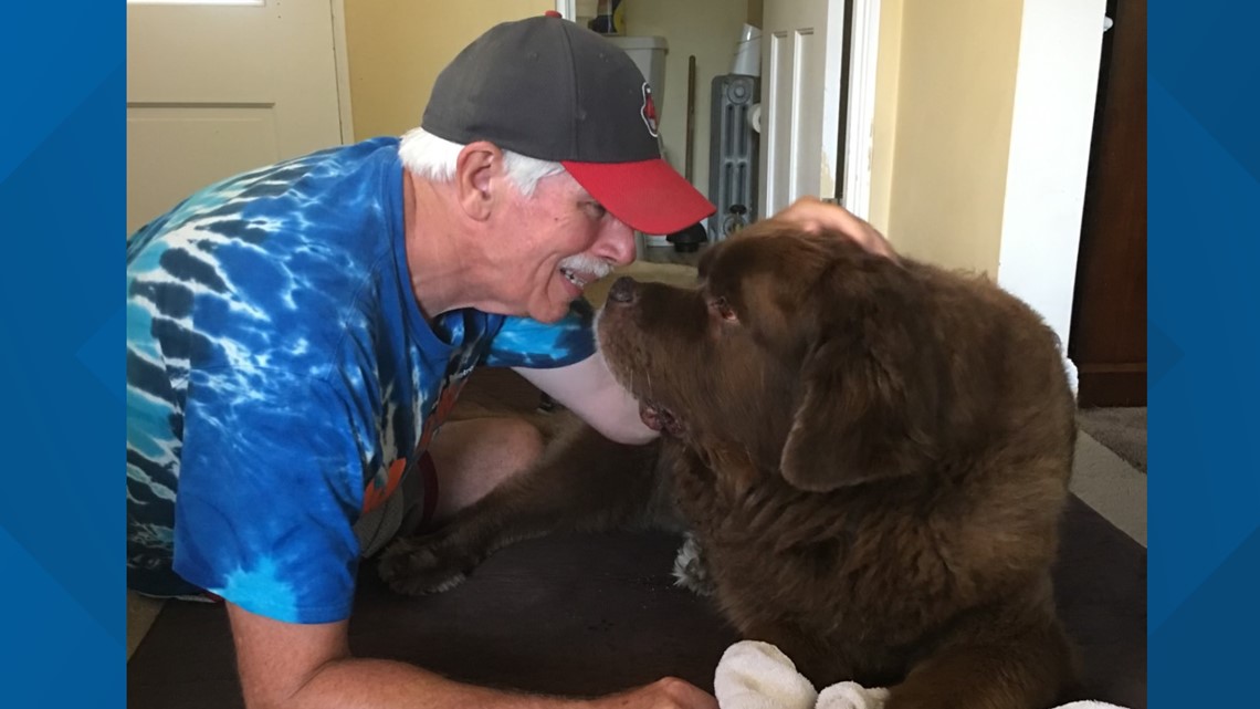 74-year-old man feeds dozens of dogs in Rocky River - Vimarsana News