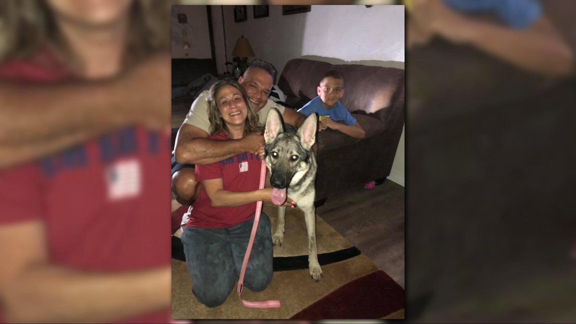 Family reunited with dog that ran away after Vermilion house fire ...