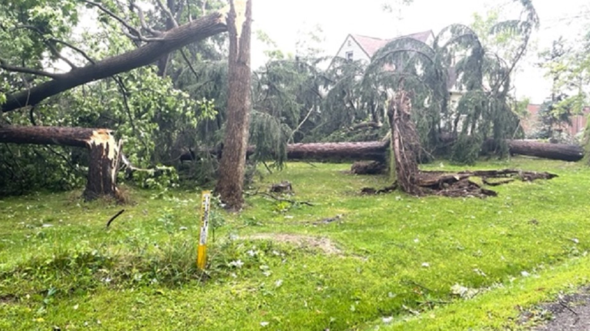 National Weather Service to survey Cleveland storm damage | wkyc.com