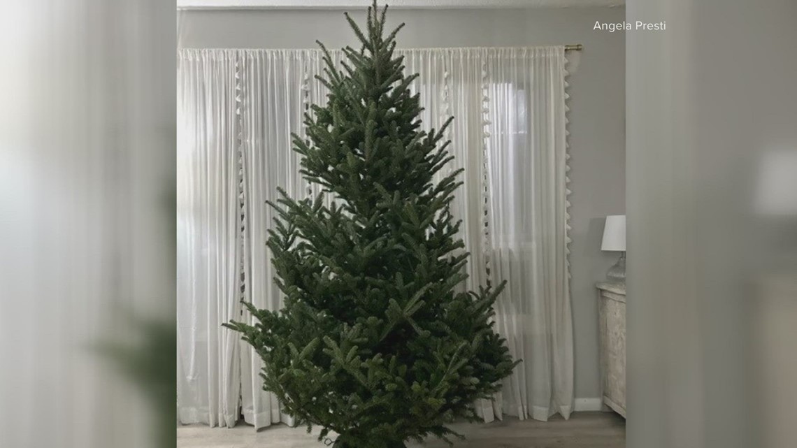 Parma woman hospitalized after exposure to live Christmas tree - Vimarsana News