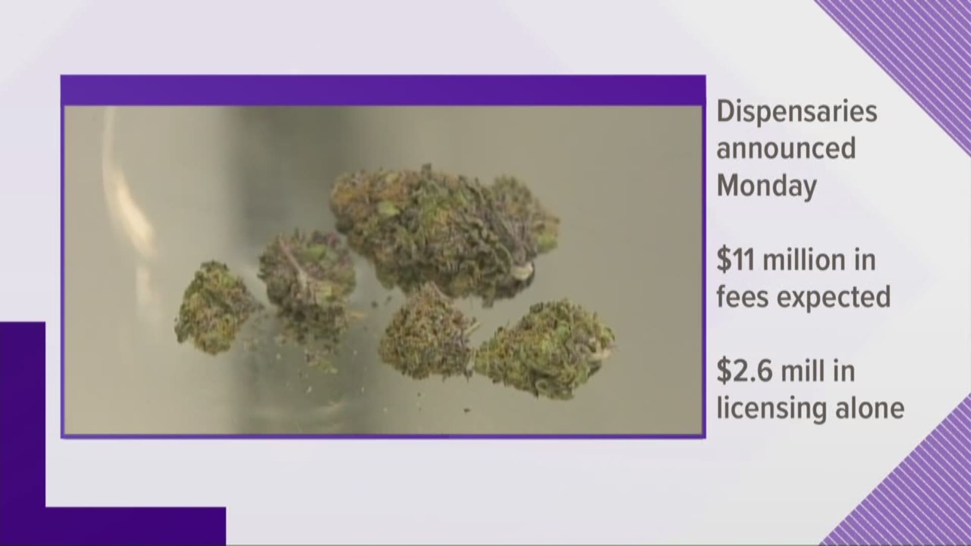 A report says Ohio's medical marijuana program will bring in about $11 million in fees even before the system is up and running.